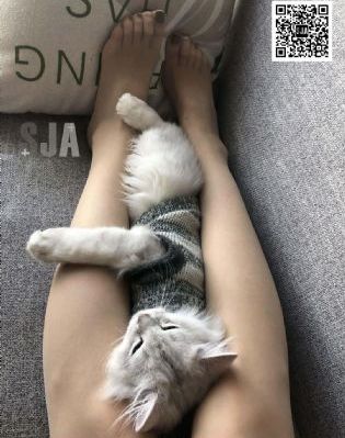 甜性涩