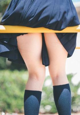 警察锅哥40集电视剧免费