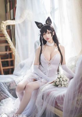 18黄色软件
