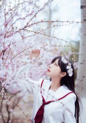 绯闻女孩第五季
